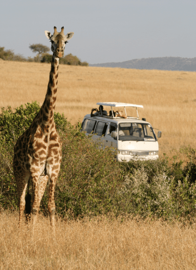 KENYA EXPLORER SAFARI