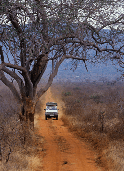 HIGHLIGHTS OF THE ABERDARES SAFARI